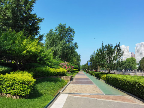 北京慶豐公園風(fēng)光