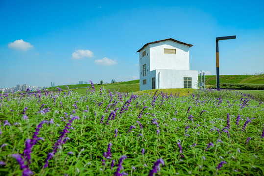 中和濕地公園