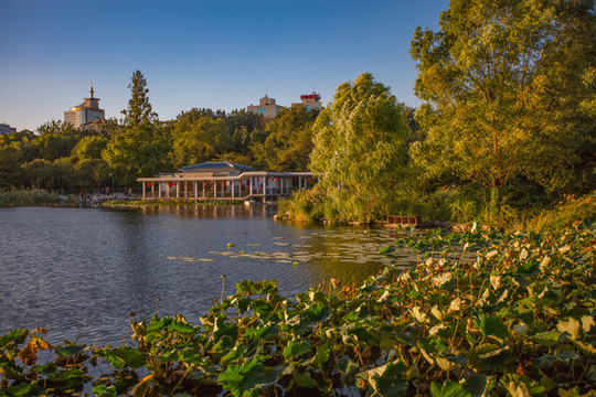 玉淵潭公園