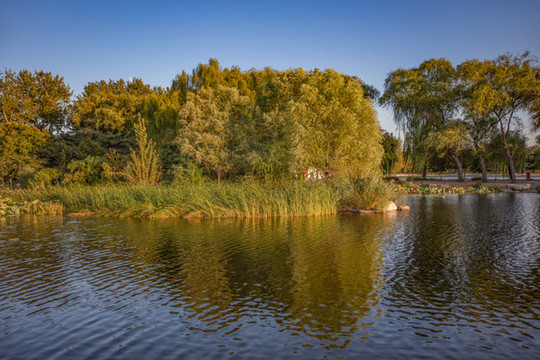 玉淵潭公園