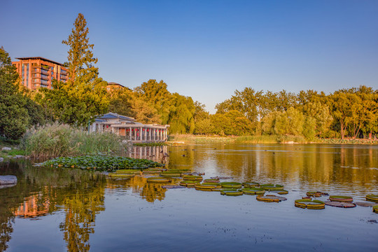 玉淵潭公園