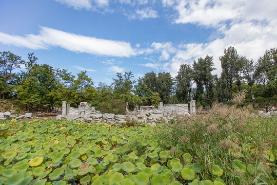 圓明園