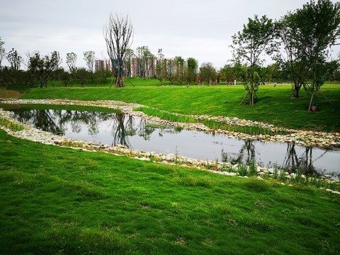 濕地公園