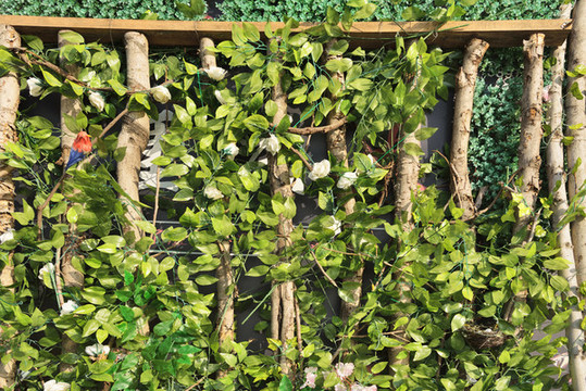 植物墻