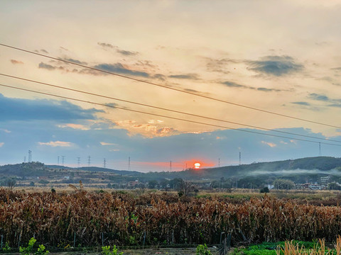 夕陽下的田野