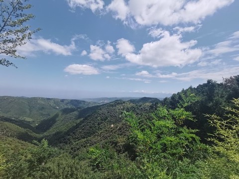 遠(yuǎn)山白云