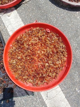 嗮桃油