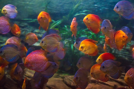 北京動(dòng)物園海底世界