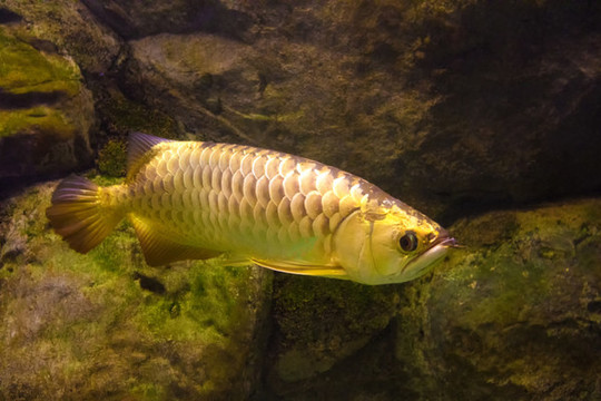 北京動(dòng)物園海底世界