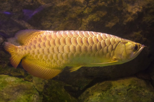 北京動(dòng)物園海底世界