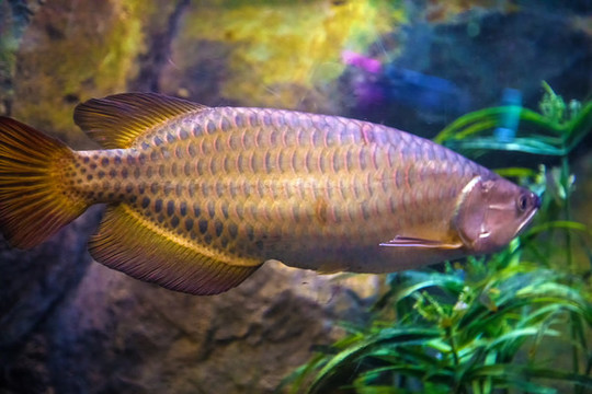 北京動(dòng)物園海底世界