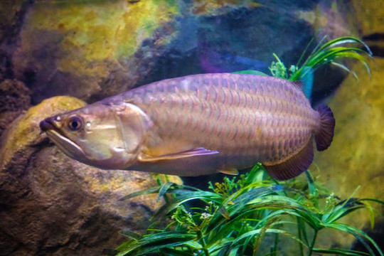 北京動(dòng)物園海底世界