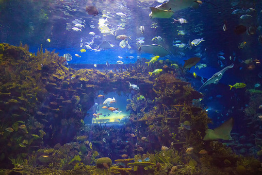 北京動(dòng)物園海洋館