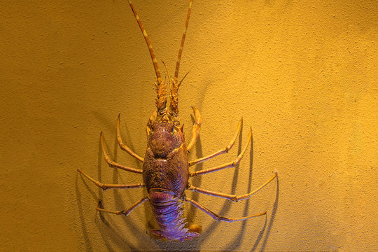 北京動(dòng)物園海底世界