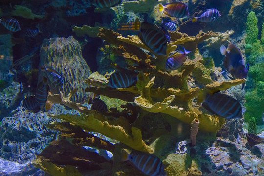 北京動(dòng)物園海底世界