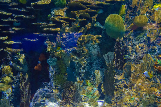 北京動(dòng)物園海洋館