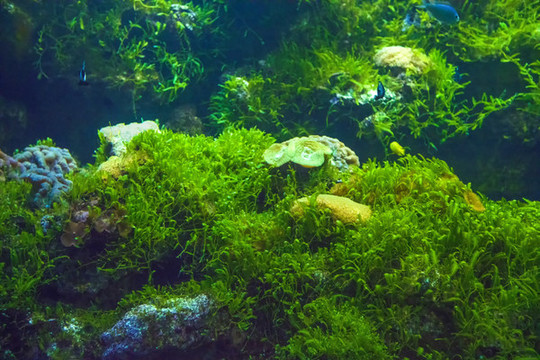 北京動(dòng)物園海洋館