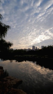 城市濕地朝霞的云彩