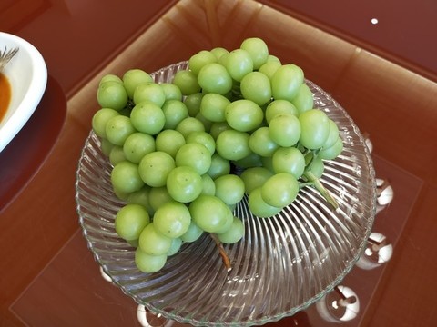葡萄