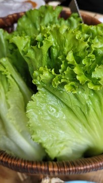 新鮮生菜