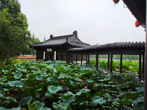 亭子