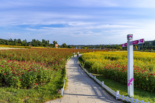 中國(guó)長(zhǎng)春蓮花山花海景觀(guān)