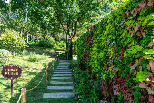 公園小路