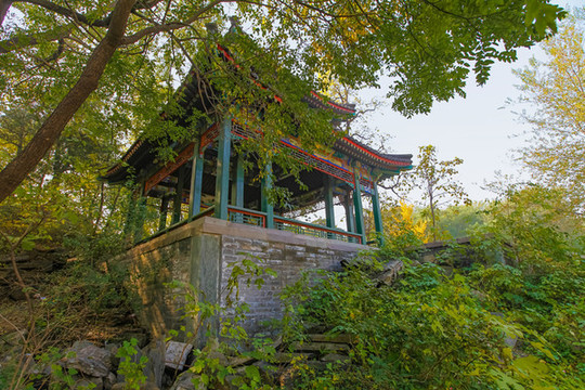 北京大學(xué)