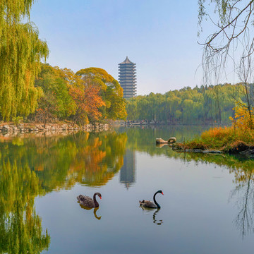 北京大學(xué)未名湖