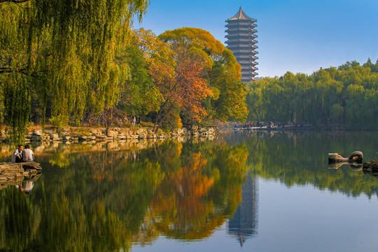 北京大學(xué)未名湖翻尾石魚