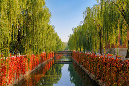清華大學