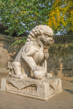清華大學(xué)工字廳石獅