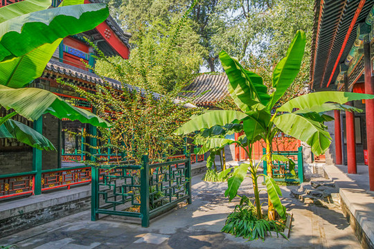 恭王府