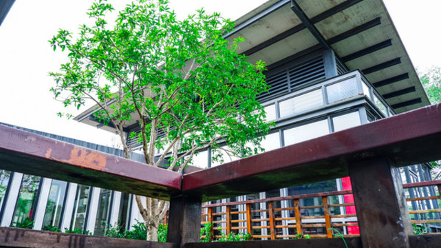 江南庭院