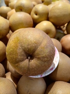麻梨