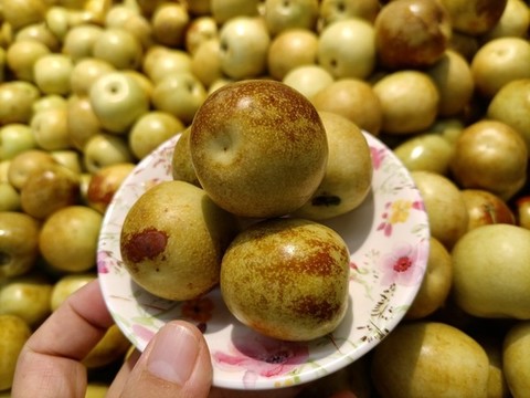 青棗