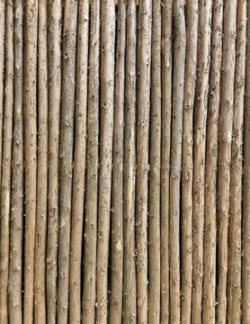 原木帶樹(shù)皮樹(shù)干紋理