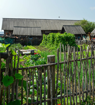 鄉(xiāng)村小鎮(zhèn)