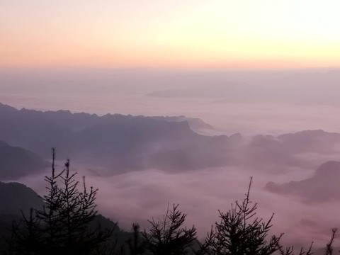 晨曦