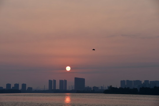 日出