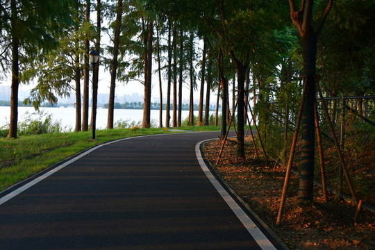 公園路