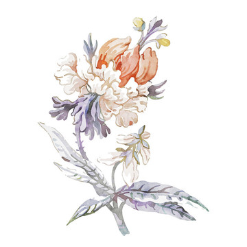 美麗的優(yōu)雅的水彩花卉和花束