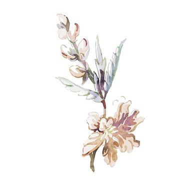 美麗的優(yōu)雅的水彩花卉和花束