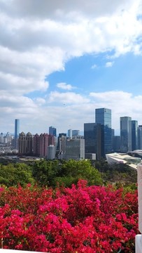 深圳市民中心廣場