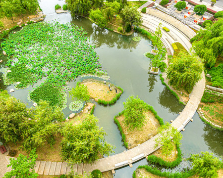 青島市李村河景觀