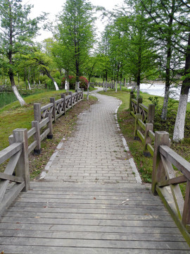 園林小路