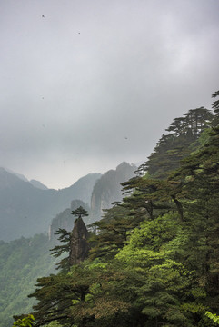 云霧山巒