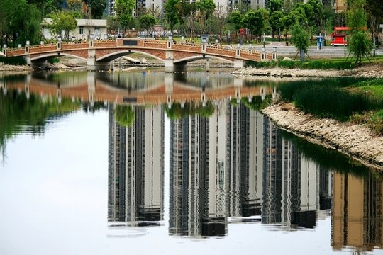 高樓倒影