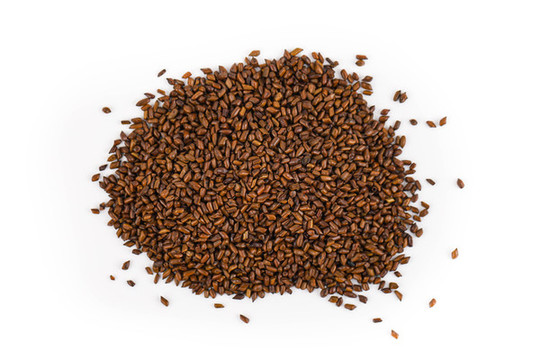 決明子茶