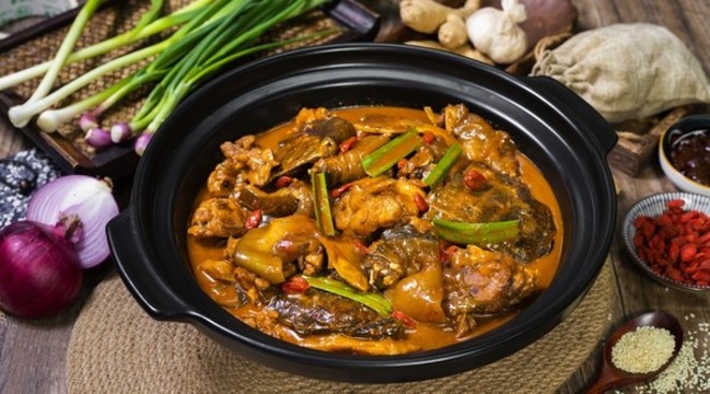 甲魚煲